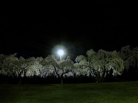 "First Encounter" - Prince George's Community College Parking Lot, 2015. Leaving class late into an empty paring lot I found this scene and realized that even the most boring and seemingly void of visual stimuli.